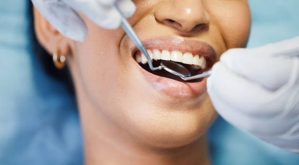 Best Same-Day Dentist Appointment  in Ludington, MI