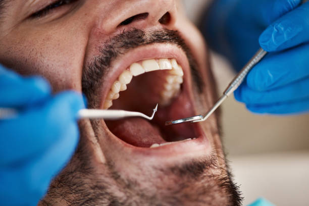 Best Emergency Dentist Near Me  in Ludington, MI